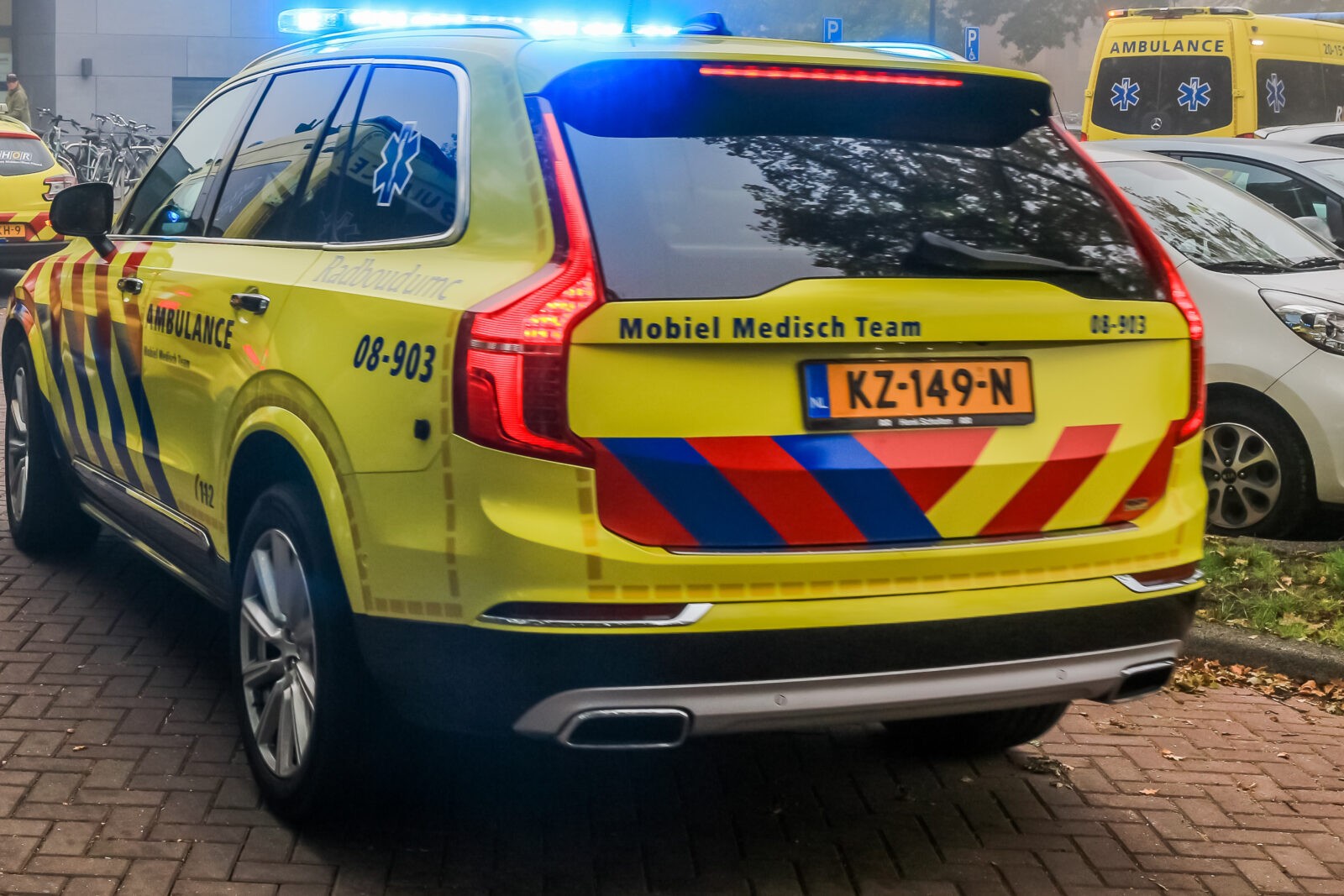 Aangereden man en hond in Den Haag: automobilist doorgereden, hond overleden.
