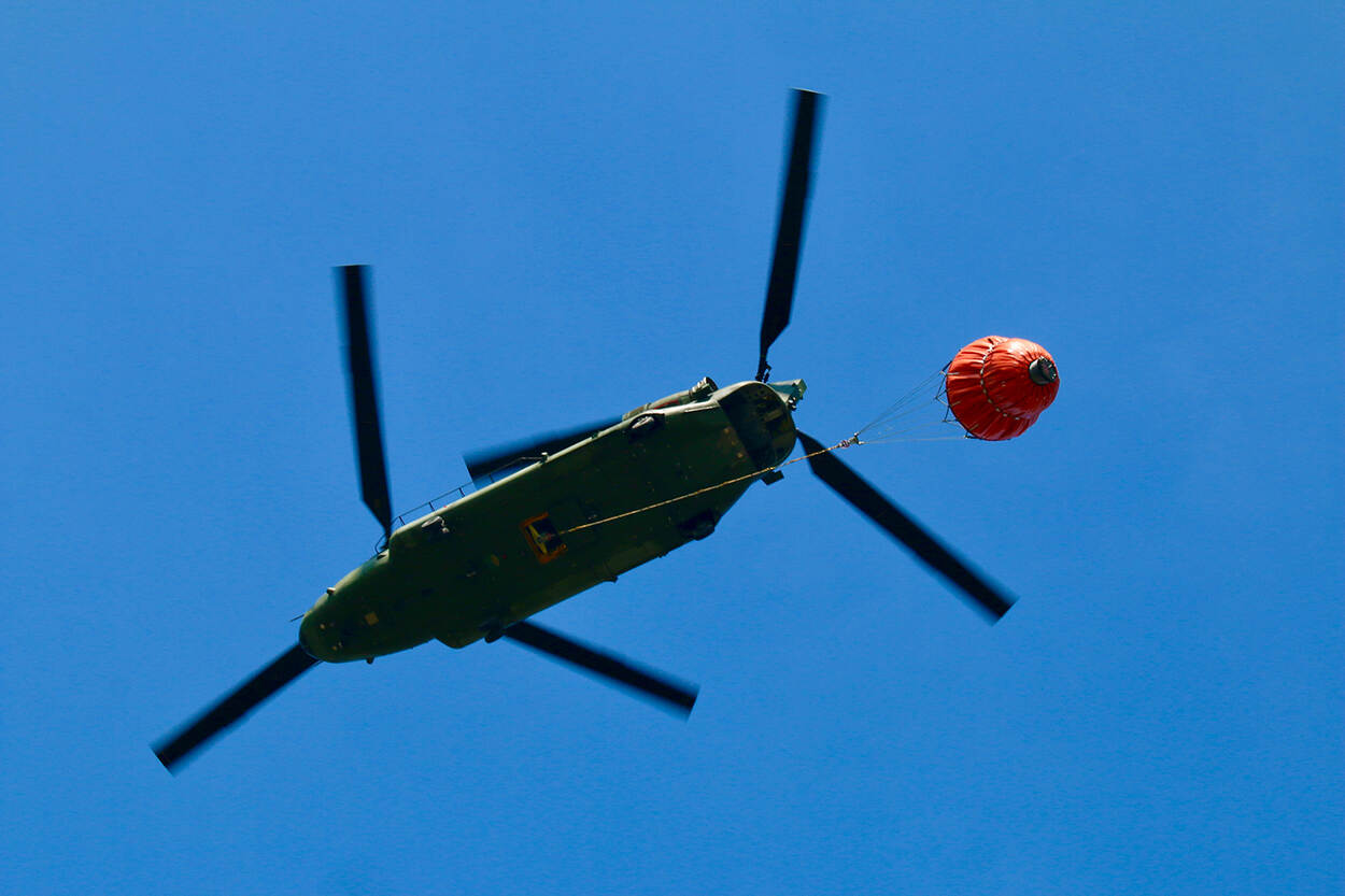 Chinook