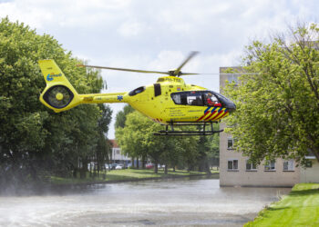traumaheli