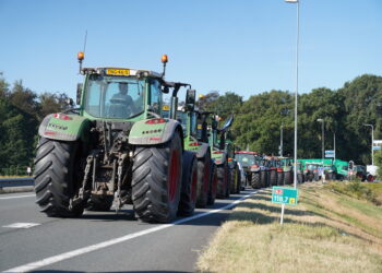 boeren