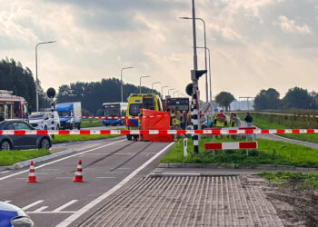 Edam